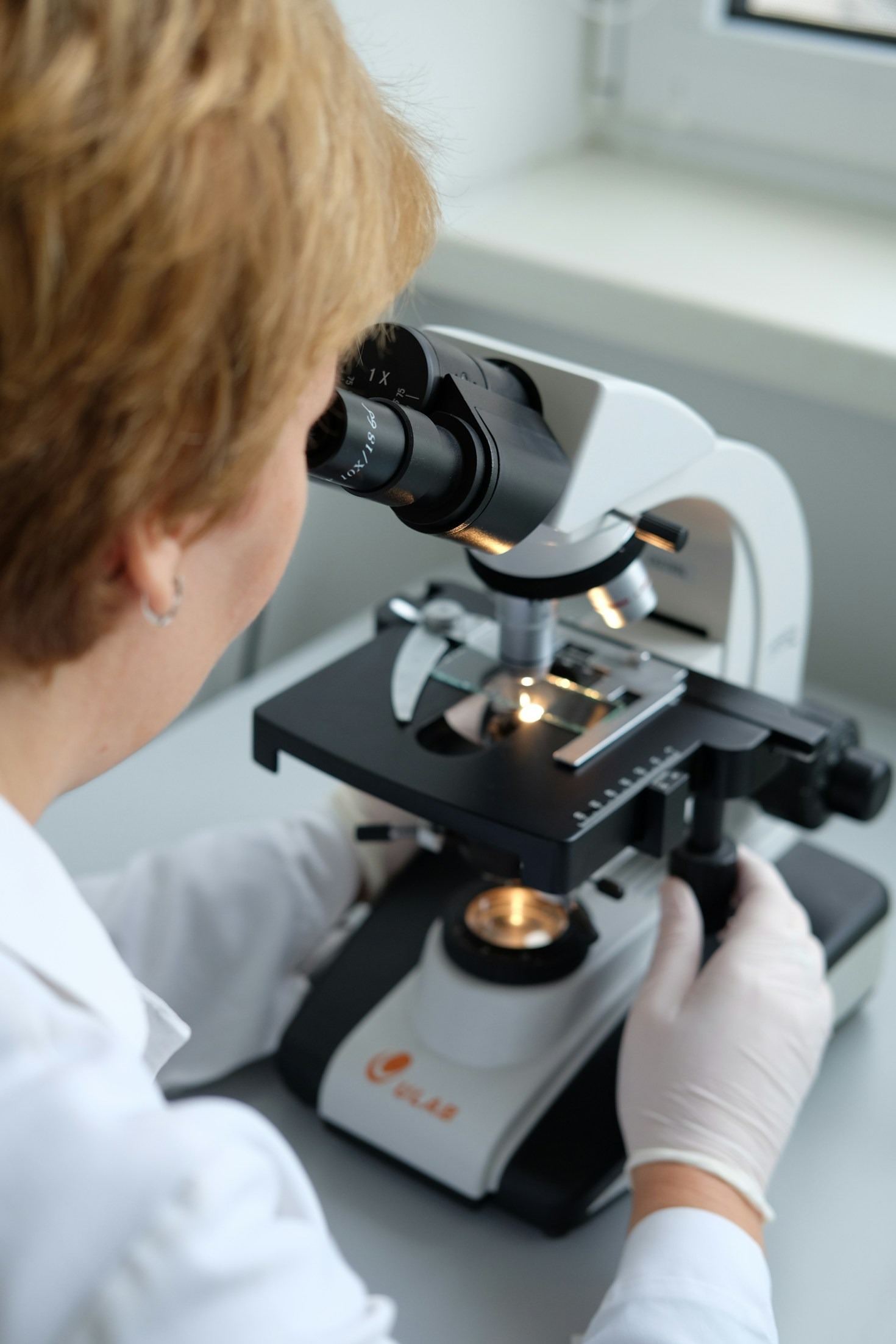 How Collaboration Shapes Innovation in Biotechnology